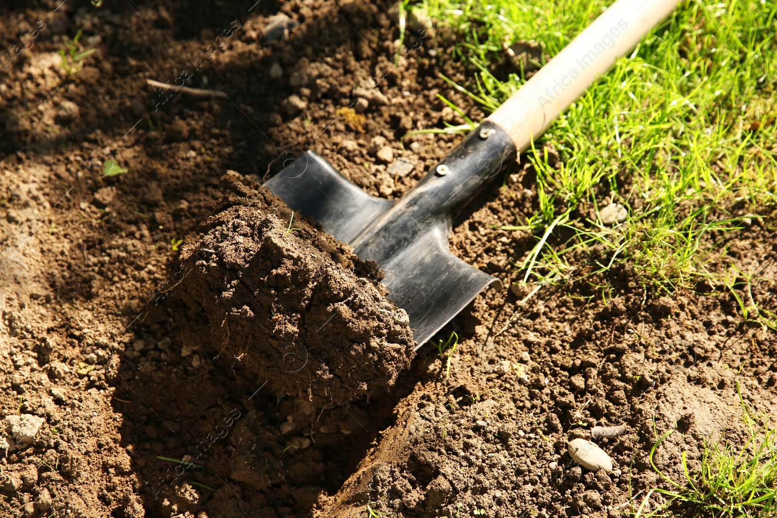 Photo of One shovel with soil on ground on sunny day. Gardening season