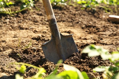 Photo of One shovel sticking out of ground on sunny day, closeup. Gardening season