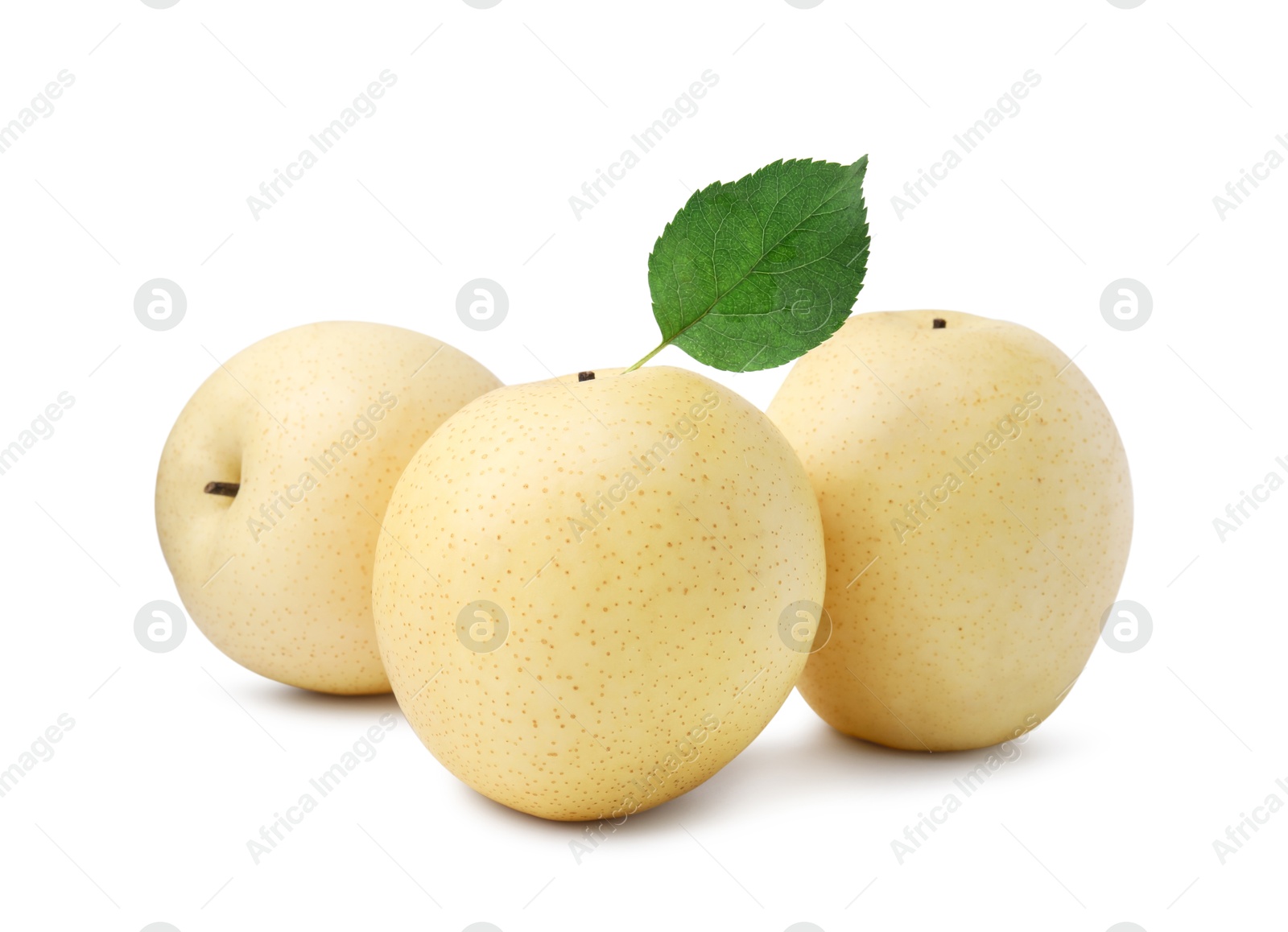 Photo of Delicious fresh apple pears and green leaf isolated on white