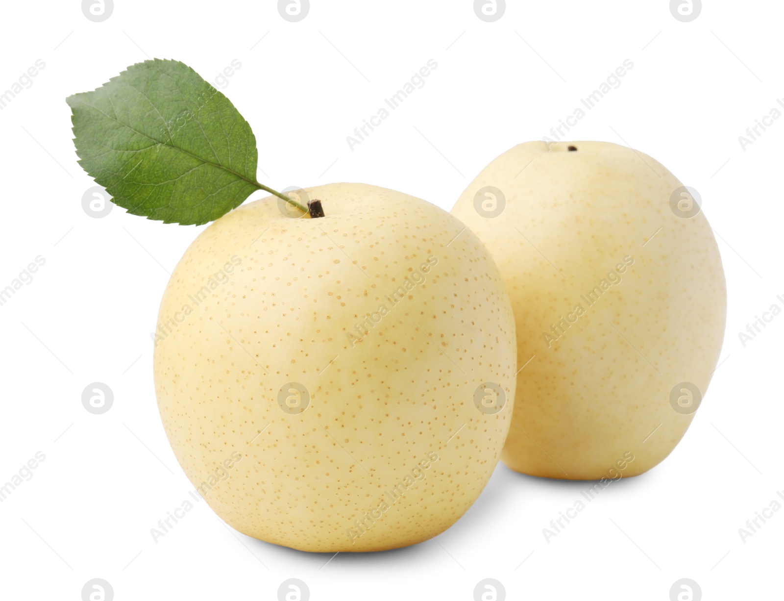 Photo of Delicious fresh apple pears and green leaf isolated on white