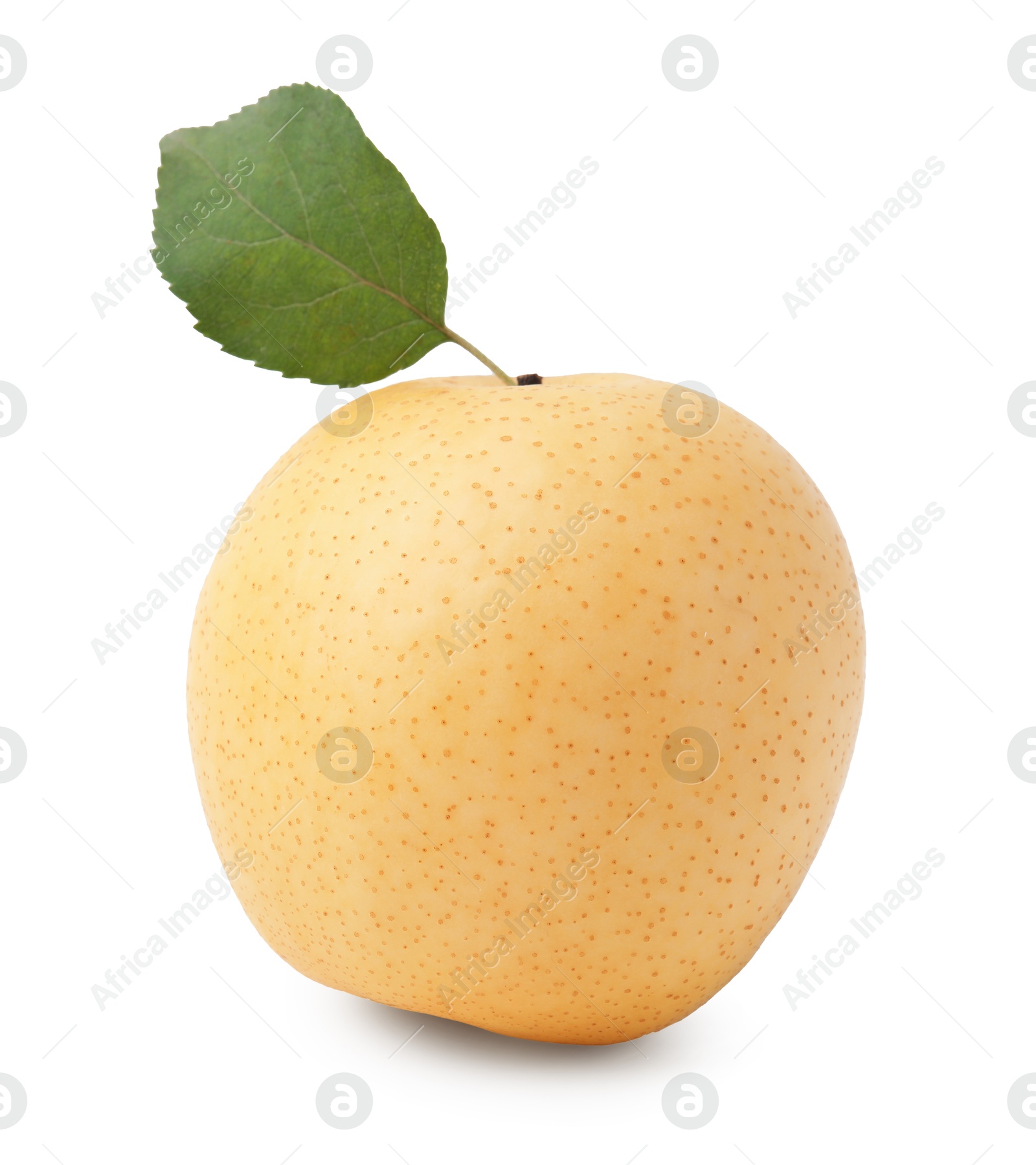 Photo of Fresh apple pear and green leaf isolated on white