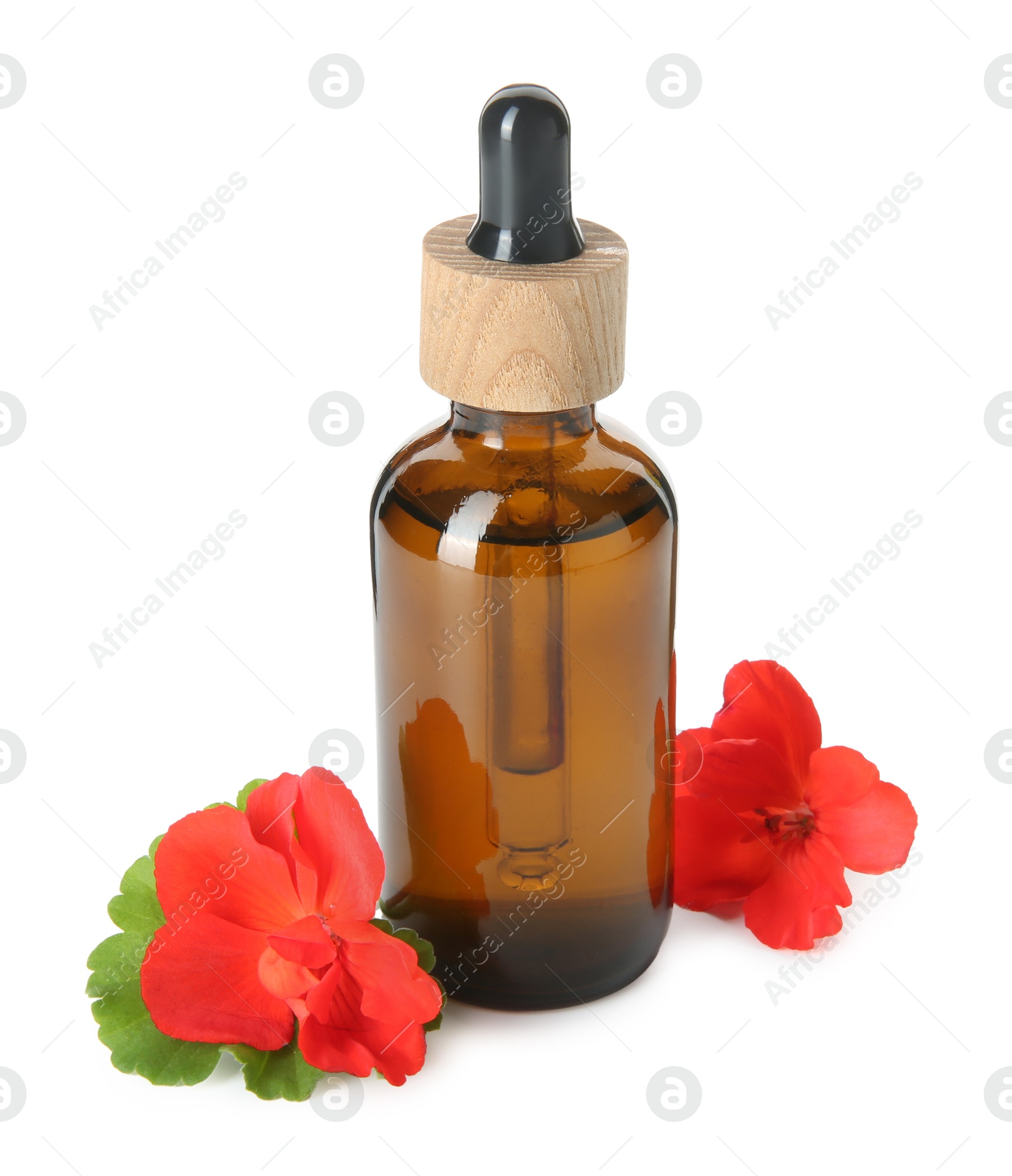 Photo of Bottle of geranium essential oil and beautiful flowers isolated on white