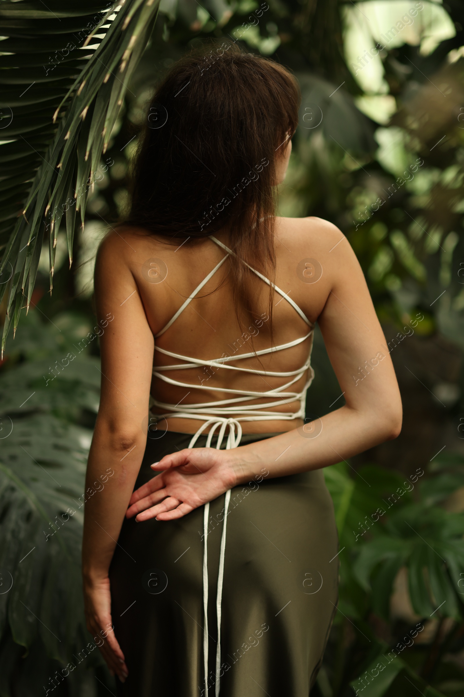 Photo of Woman posing in tropical forest, back view