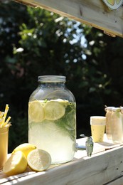 Lemonade stand with refreshing drink and fresh fruits in park