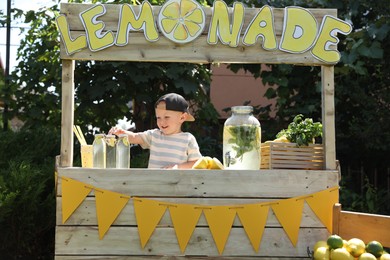 Photo of Cute little boy at lemonade stand in park