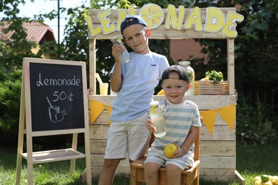 Cute boys with refreshing drinks near lemonade stand in park