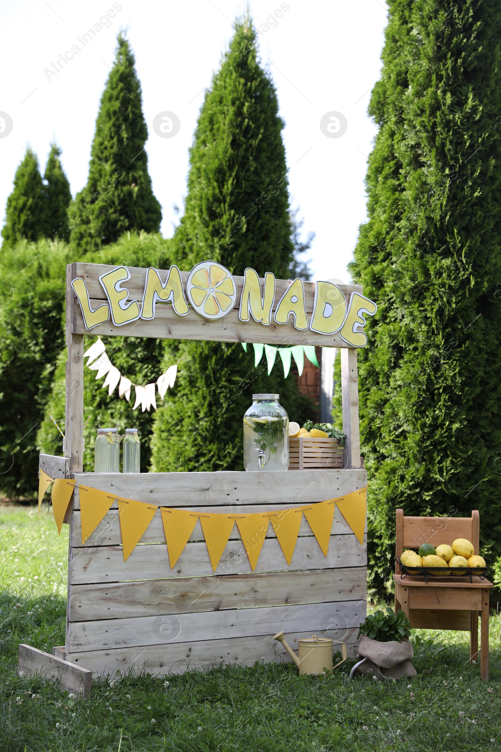 Photo of Lemonade stand with refreshing drink and fresh fruits in park