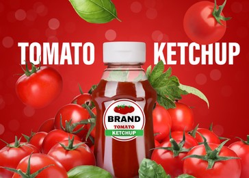 Image of Ketchup advertising poster. Bottle of sauce and falling tomatoes on red background