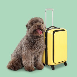 Image of Cute dog and yellow suitcase on light green background