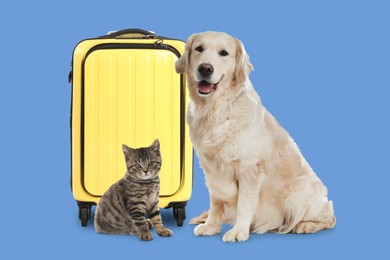 Image of Kitten, dog and yellow suitcase on light blue background