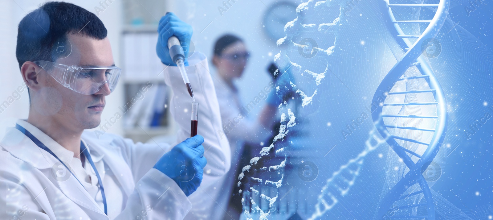 Image of Scientists working in laboratory and illustrations of DNA, double exposure. Research in genetics. banner design