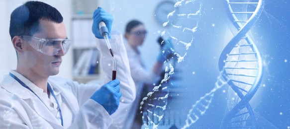 Scientists working in laboratory and illustrations of DNA, double exposure. Research in genetics. banner design