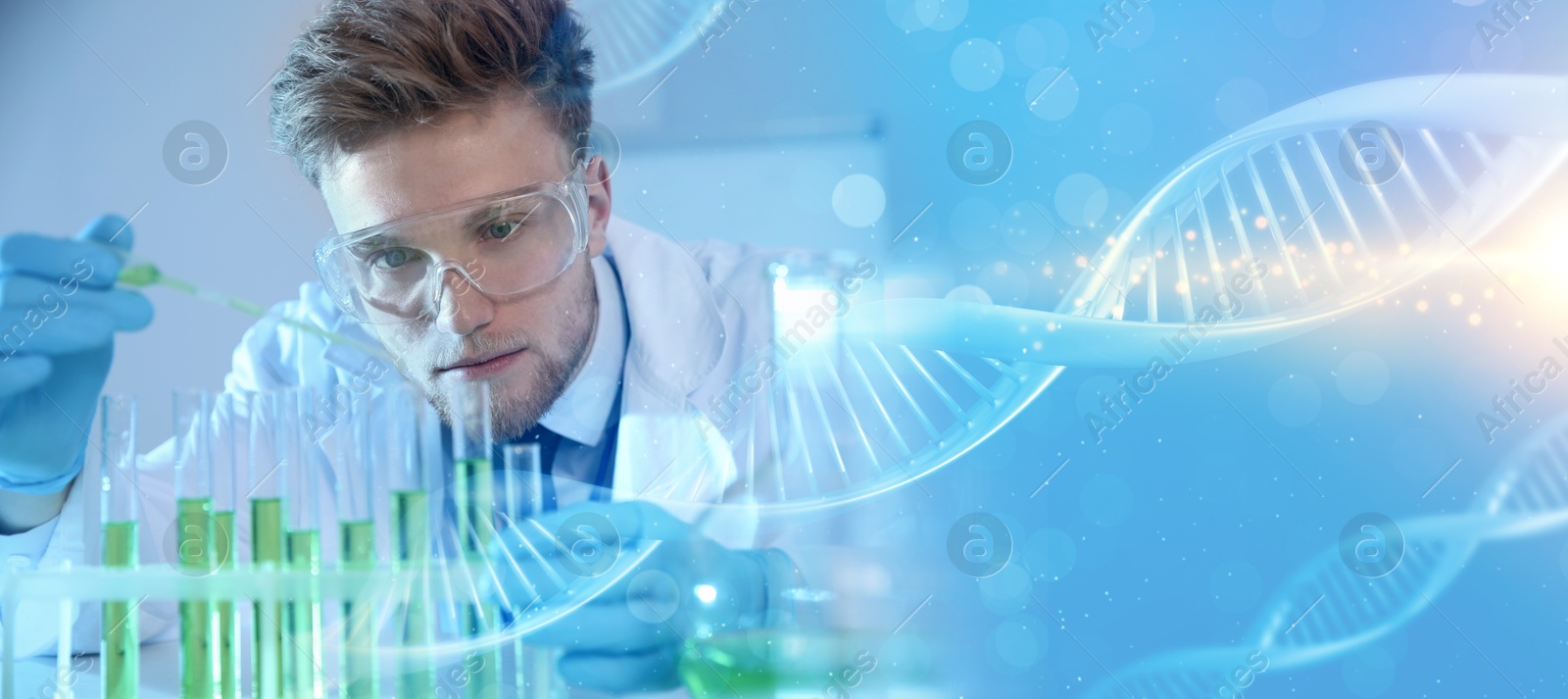 Image of Scientist working in laboratory and illustrations of DNA, double exposure. Research in genetics. banner design