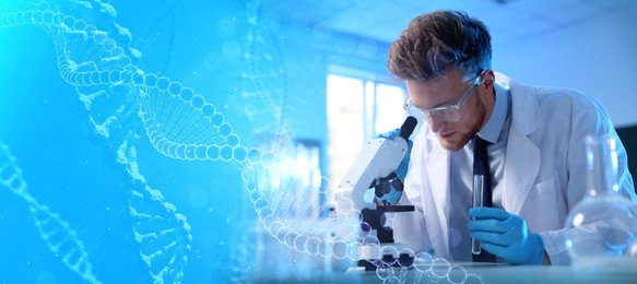 Scientist working with microscope in laboratory and illustrations of DNA, double exposure. Research in genetics. banner design