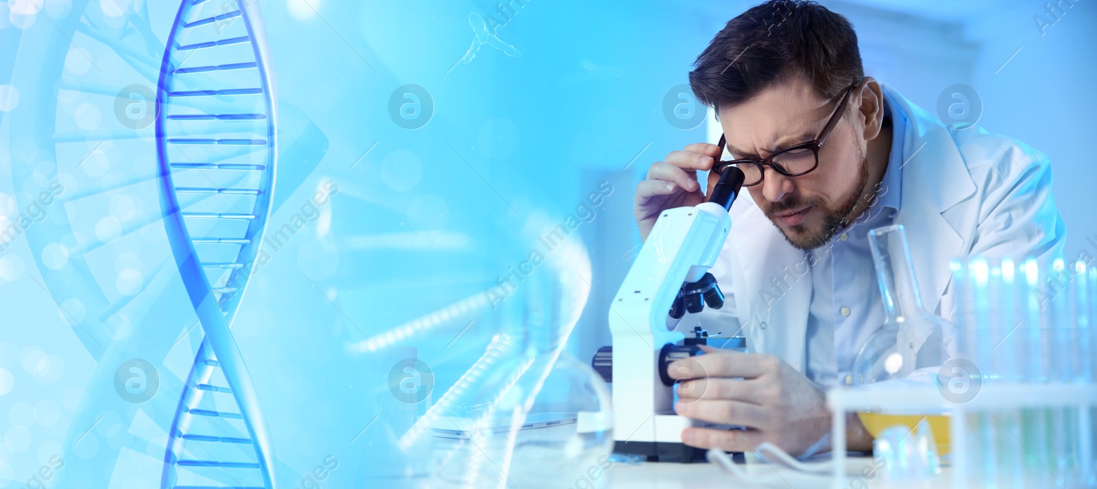 Image of Scientist working with microscope in laboratory and illustrations of DNA, double exposure. Research in genetics. banner design