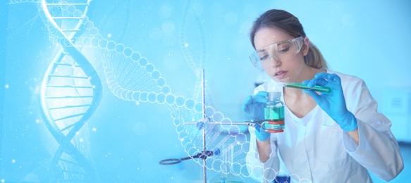 Scientist working in laboratory and illustrations of DNA, double exposure. Research in genetics. banner design