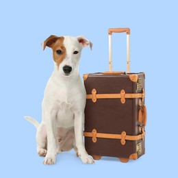 Image of Jack Russell terrier and suitcase on light blue background