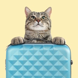 Image of Cute cat holding paws on suitcase on pale yellow background