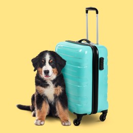 Image of Cute puppy and turquoise suitcase on yellow background