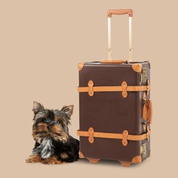 Image of Cute Yorkshire terrier and leather suitcase on dark beige background