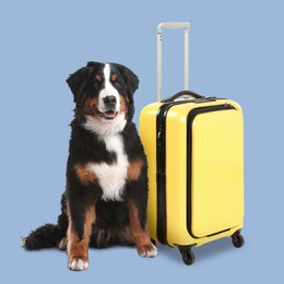 Image of Cute dog and yellow suitcase on light blue background