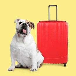 Image of Cute English bulldog and red suitcase on yellow background