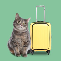 Image of Cute grey cat and yellow suitcase on pale green background