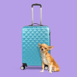 Image of Cute Chihuahua dog and suitcase on violet background