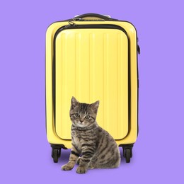 Image of Cute kitten and yellow suitcase on dark violet background