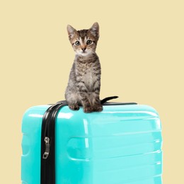 Image of Cute kitten on turquoise suitcase against pale yellow background