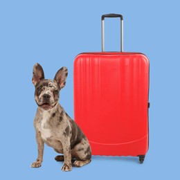 Image of Cute French Bulldog and red suitcase on light blue background