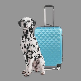 Image of Cute dalmatian dog and suitcase on grey background