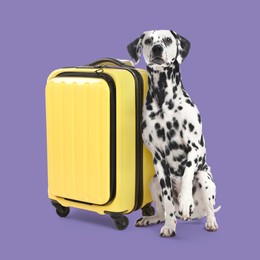 Image of Cute dalmatian dog and yellow suitcase on dark violet background