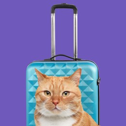 Image of Cute red cat and suitcase on dark violet background