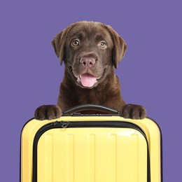 Image of Cute puppy holding paws on yellow suitcase against dark violet background