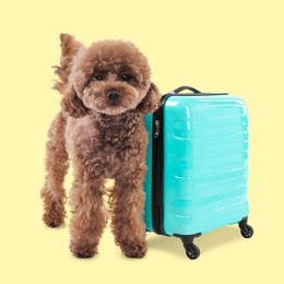 Image of Cute Maltipoo dog and turquoise suitcase on pale yellow background