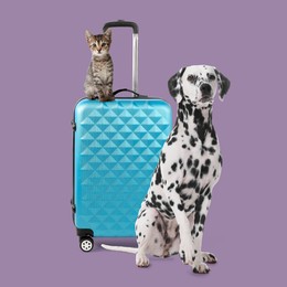 Image of Cute kitten sitting on suitcase and dalmatian dog on color background