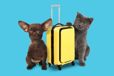 Image of Dog, cat and yellow suitcase on light blue background