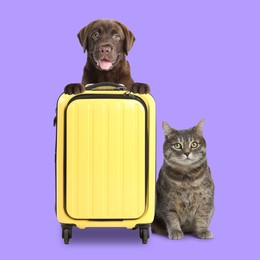 Image of Cute puppy holding paws on yellow suitcase and grey cat on violet background