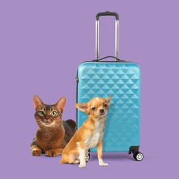 Image of Dog, cat and suitcase on violet background