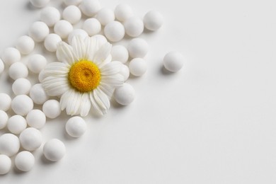 Photo of Homeopathic remedy. Many round pills and chamomile flower on white background, top view. Space for text