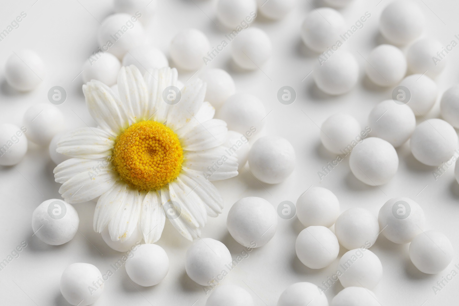 Photo of Homeopathic remedy. Many round pills and chamomile flower on white background, top view