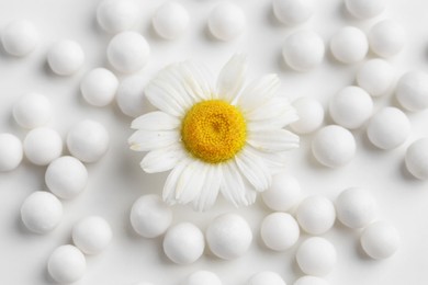 Homeopathic remedy. Many round pills and chamomile flower on white background, top view