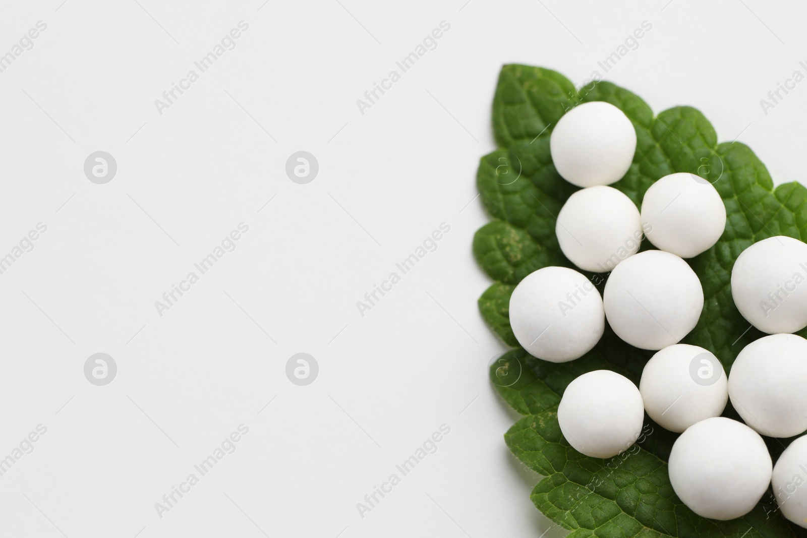 Photo of Homeopathic remedy. Many round pills and green leaf on white background, top view. Space for text