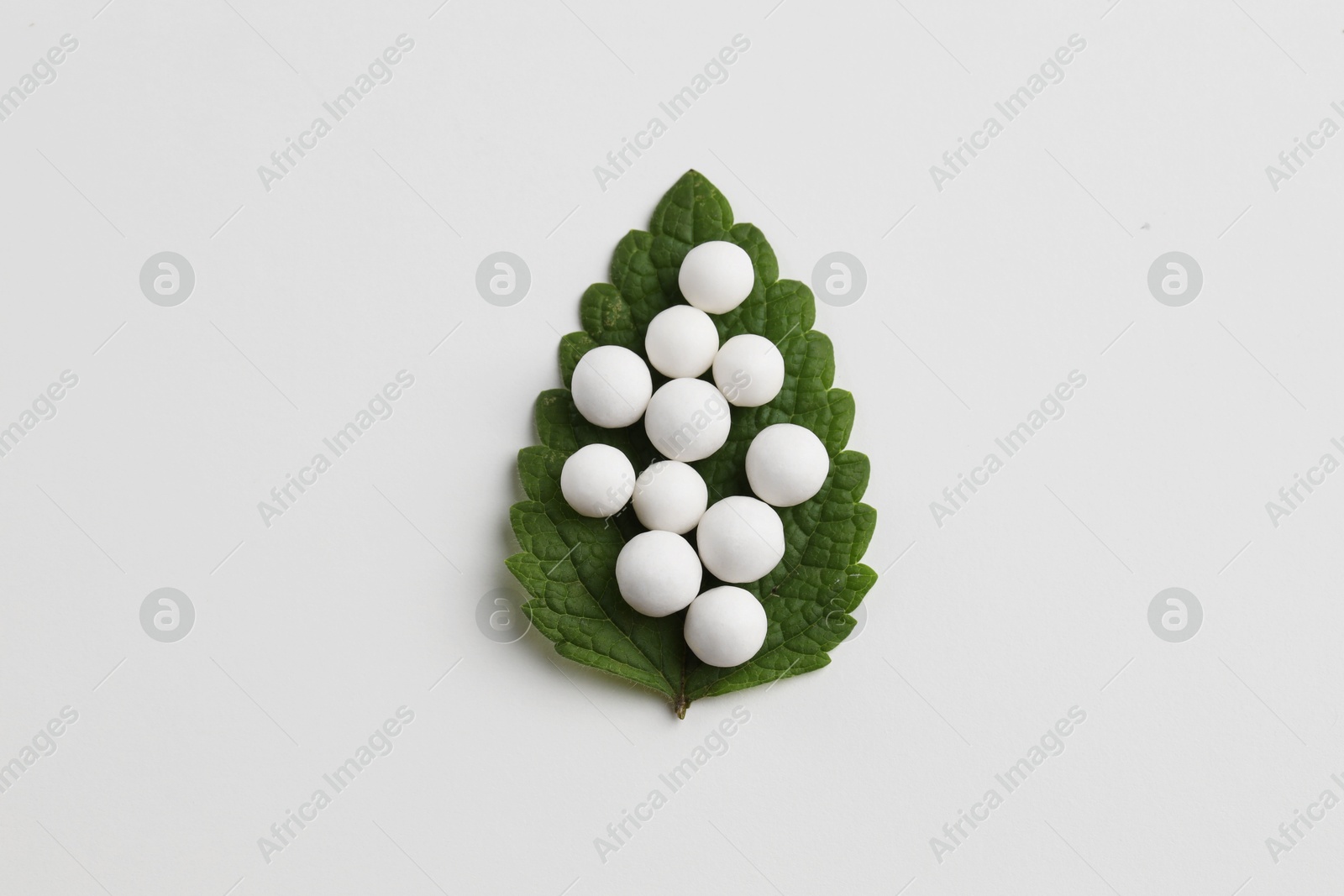 Photo of Homeopathic remedy. Many round pills and green leaf on white background, top view