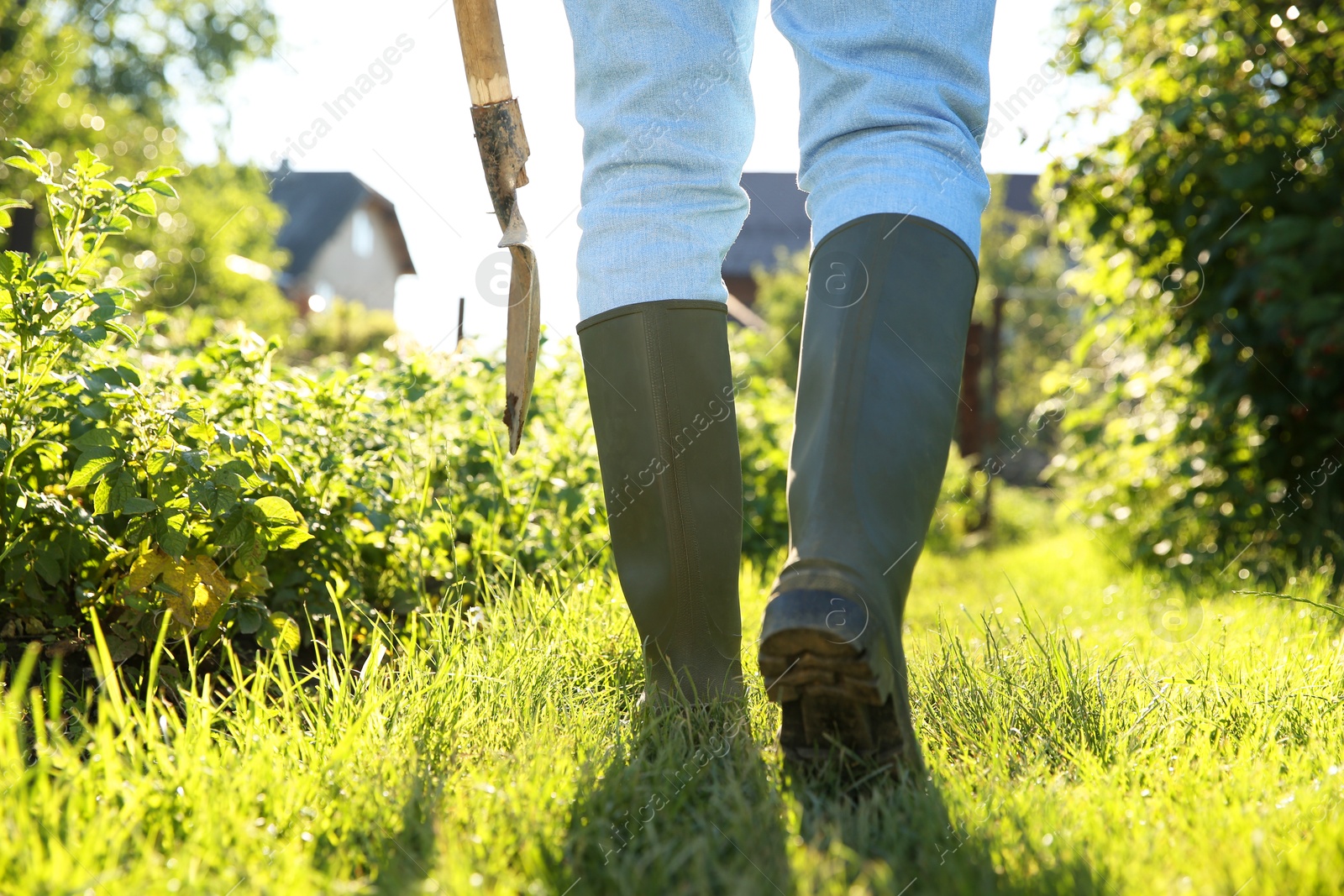 Photo of Farmer walking with shovel on sunny day, closeup