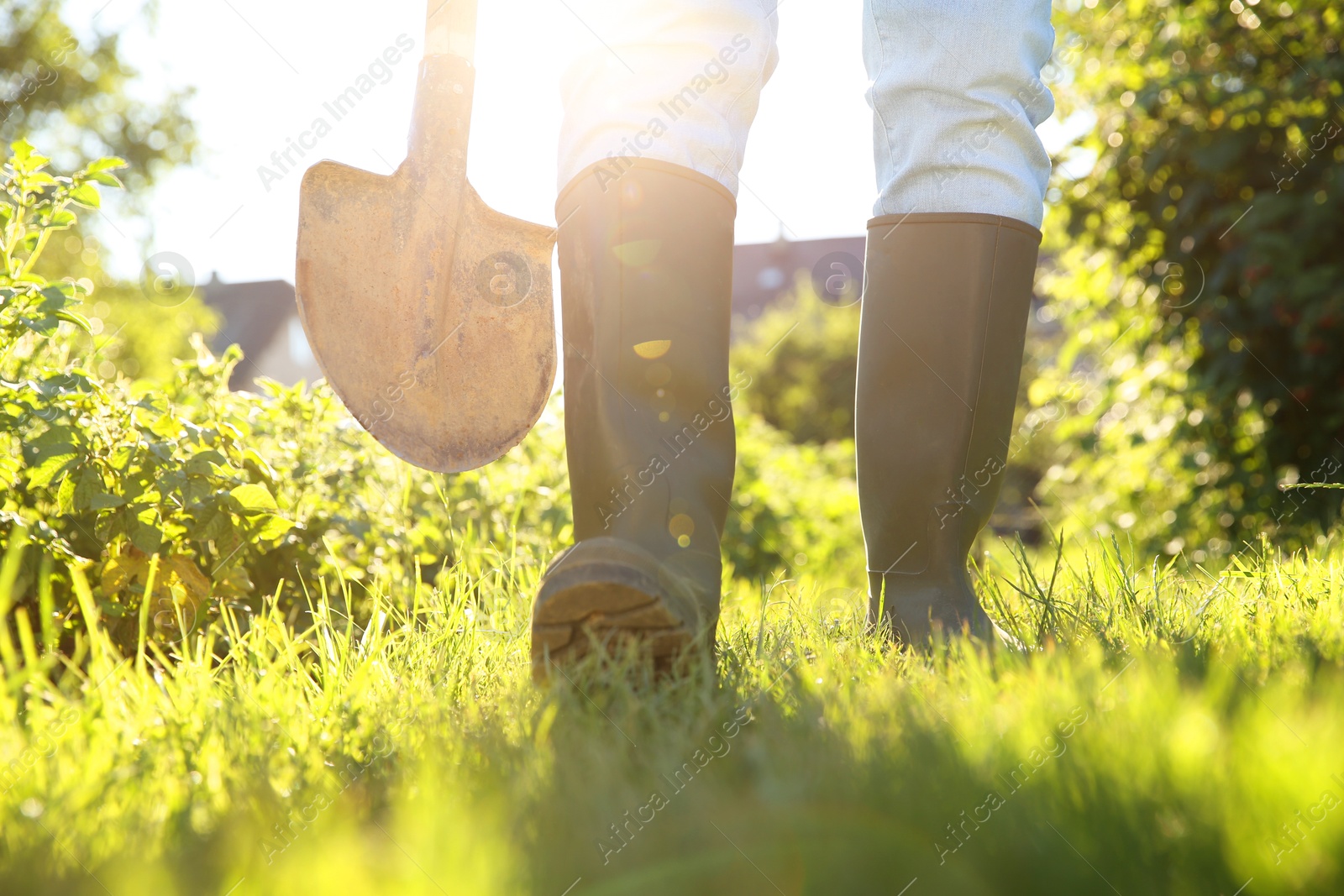 Photo of Farmer walking with shovel on sunny day, closeup