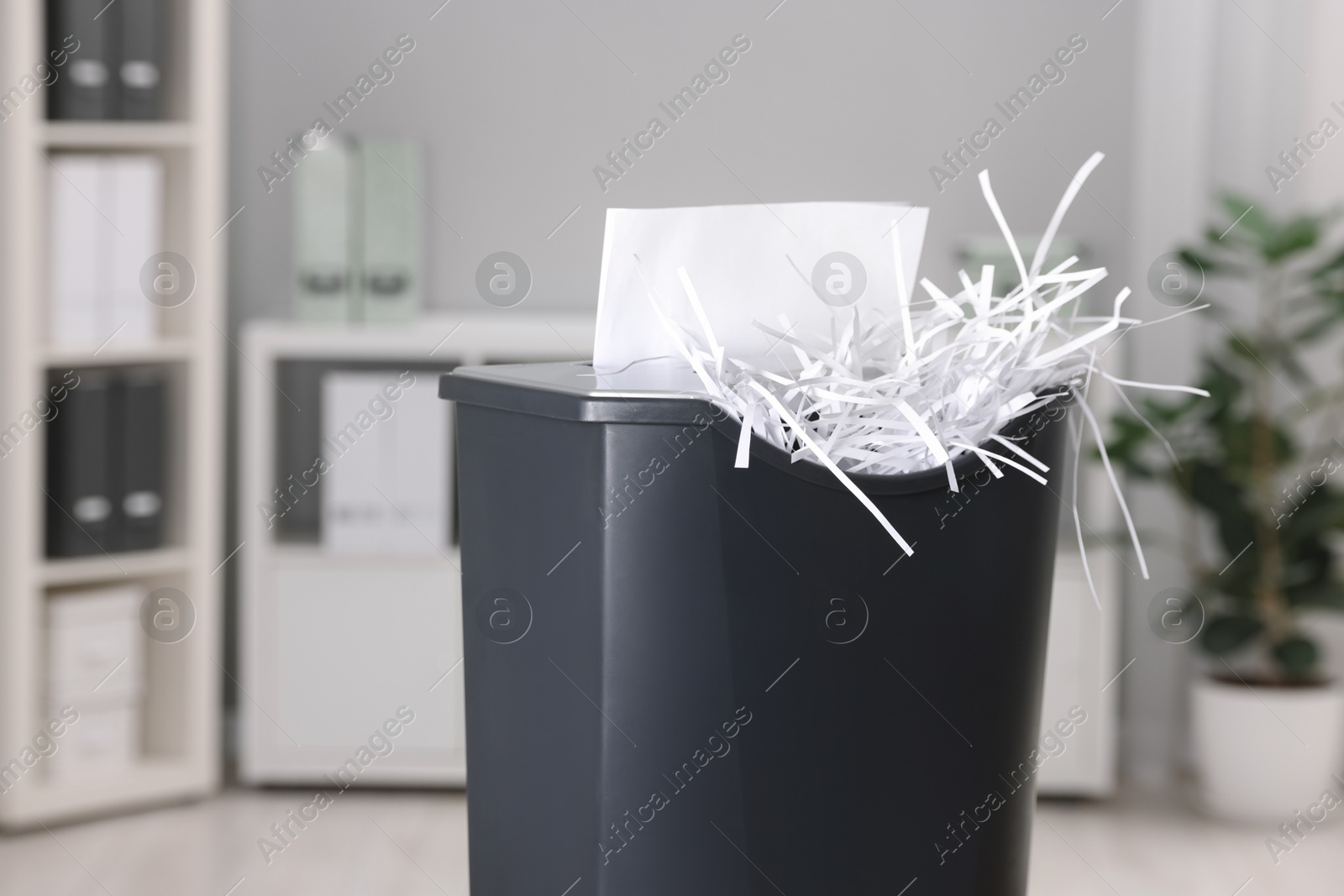 Photo of Destroying sheets of paper with shredder in office