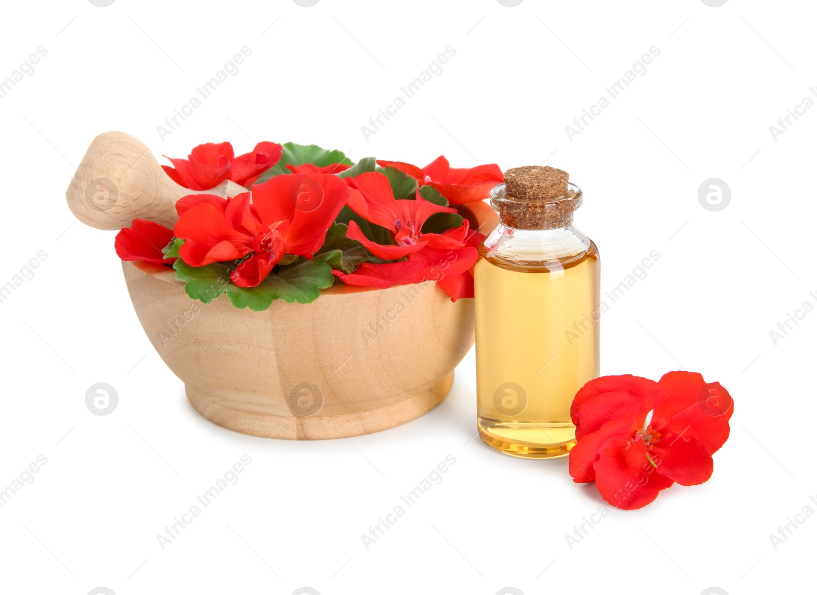 Photo of Bottle of geranium essential oil, mortar and pestle with beautiful flowers isolated on white