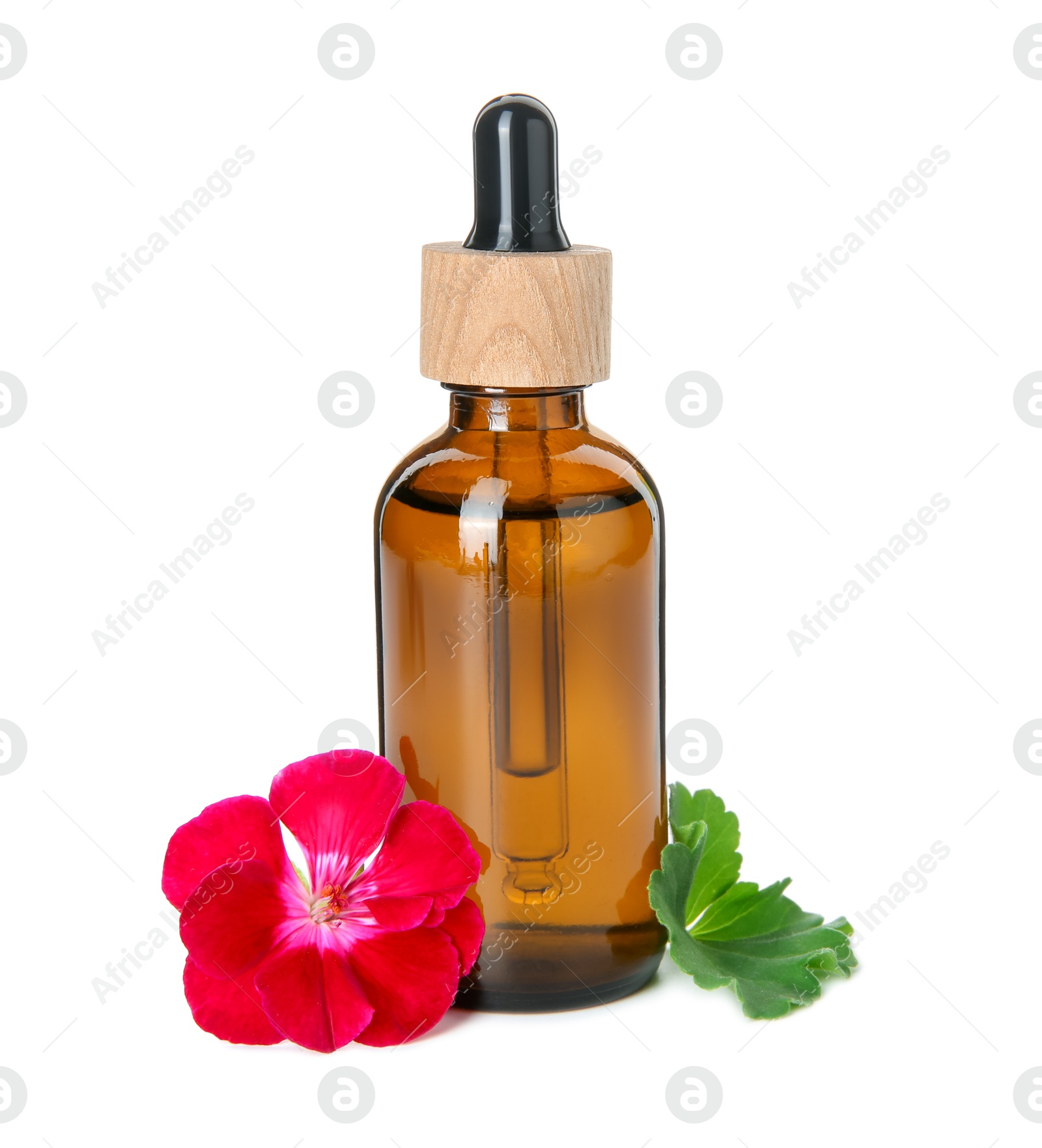 Photo of Bottle of geranium essential oil, beautiful flower and green leaf isolated on white